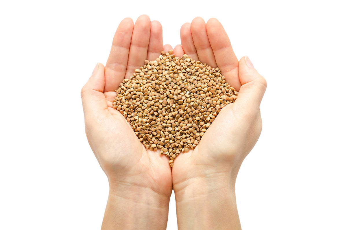Bio-Buchweizen (geschält) von Nature's Root – 1 kg