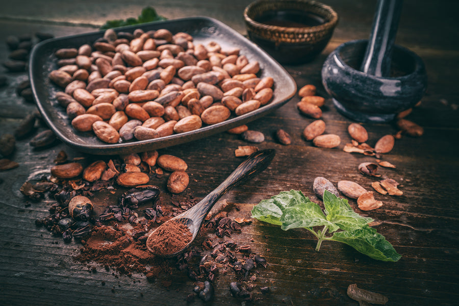 Organic Cacao Beans by Nature's Root – 500g