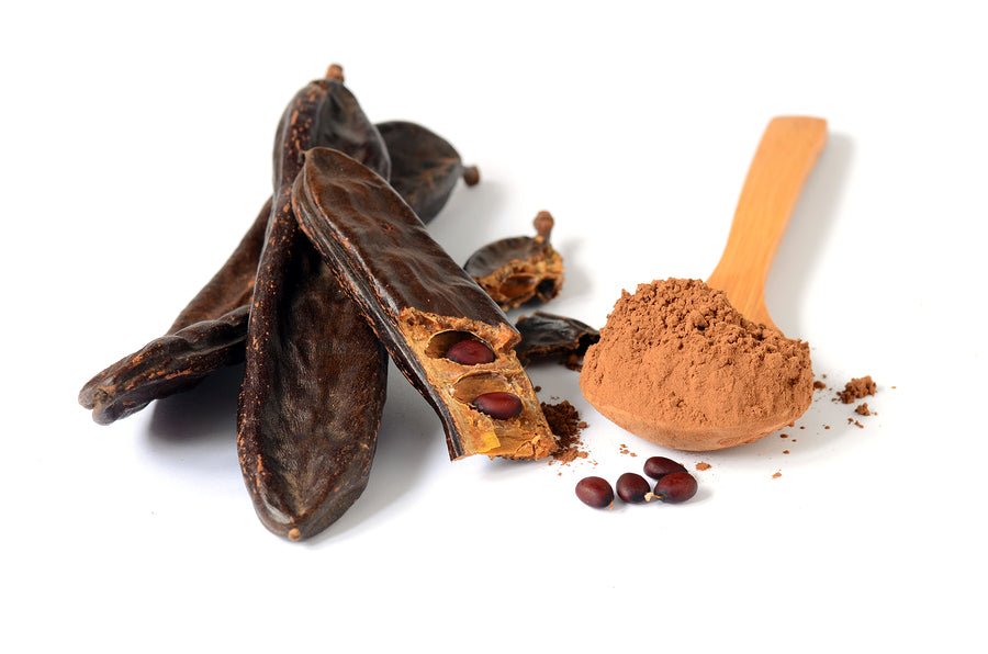 Bio-Carob-Pulver von Nature's Root – 125 g