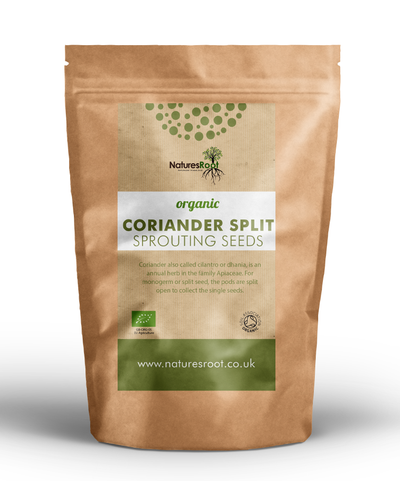 Organic Split Coriander Sprouting Seeds