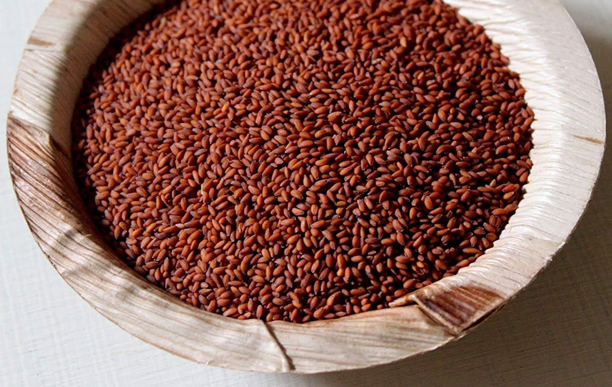 Organic Cress Sprouting Seeds by Nature's Root – 500g