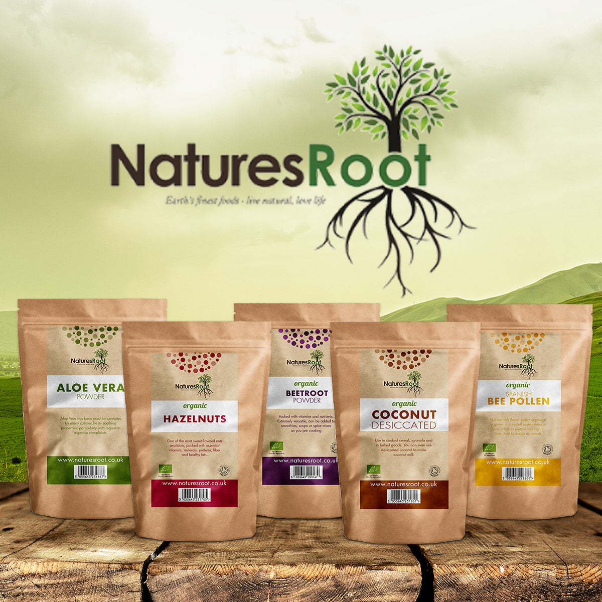 Organic Broccoli 'Calabrese' Sprouting Seeds by Nature's Root