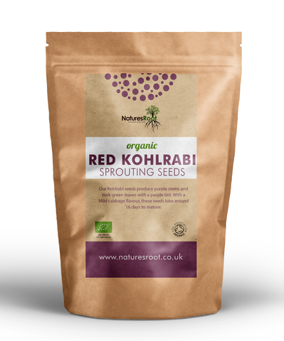 Organic Kohlrabi Sprouting Seeds - Natures Root