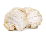 Organic Lions Mane (Hericium) Mushroom Powder - Natures Root