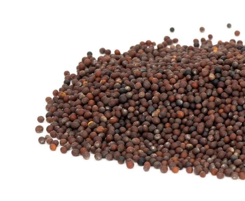 Organic Mizuna Green Sprouting Seeds by Nature's Root – 500g
