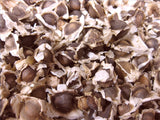 Premium Moringa Oleifera Seeds - Natures Root