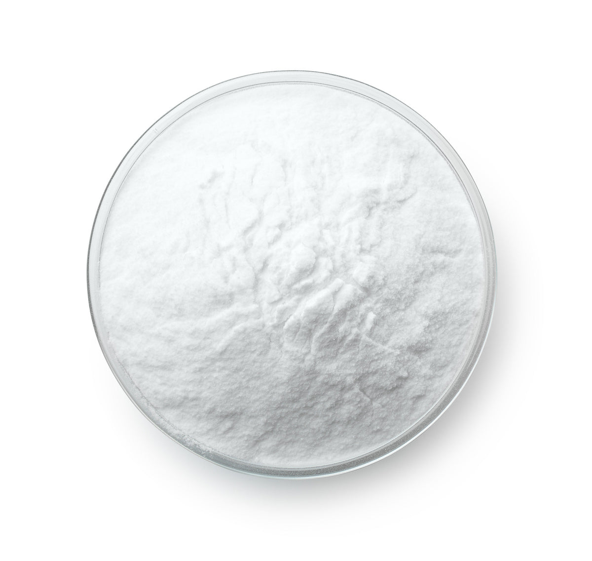 Premium MSM Powder by Nature's Root – 250g