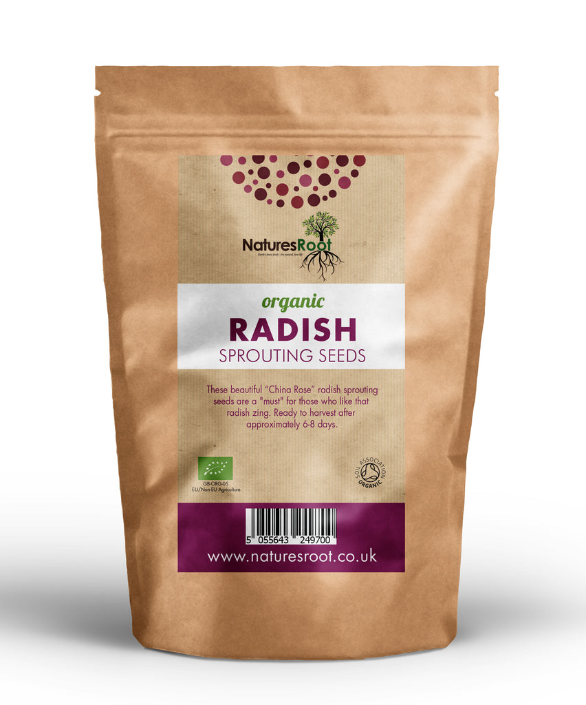 china rose radish sprouting seeds Organic Radish China Rose Sprouting Seeds
