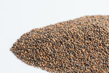 Organic Rocket (Arugula) Microgreen Sprouting Seeds - Natures Root