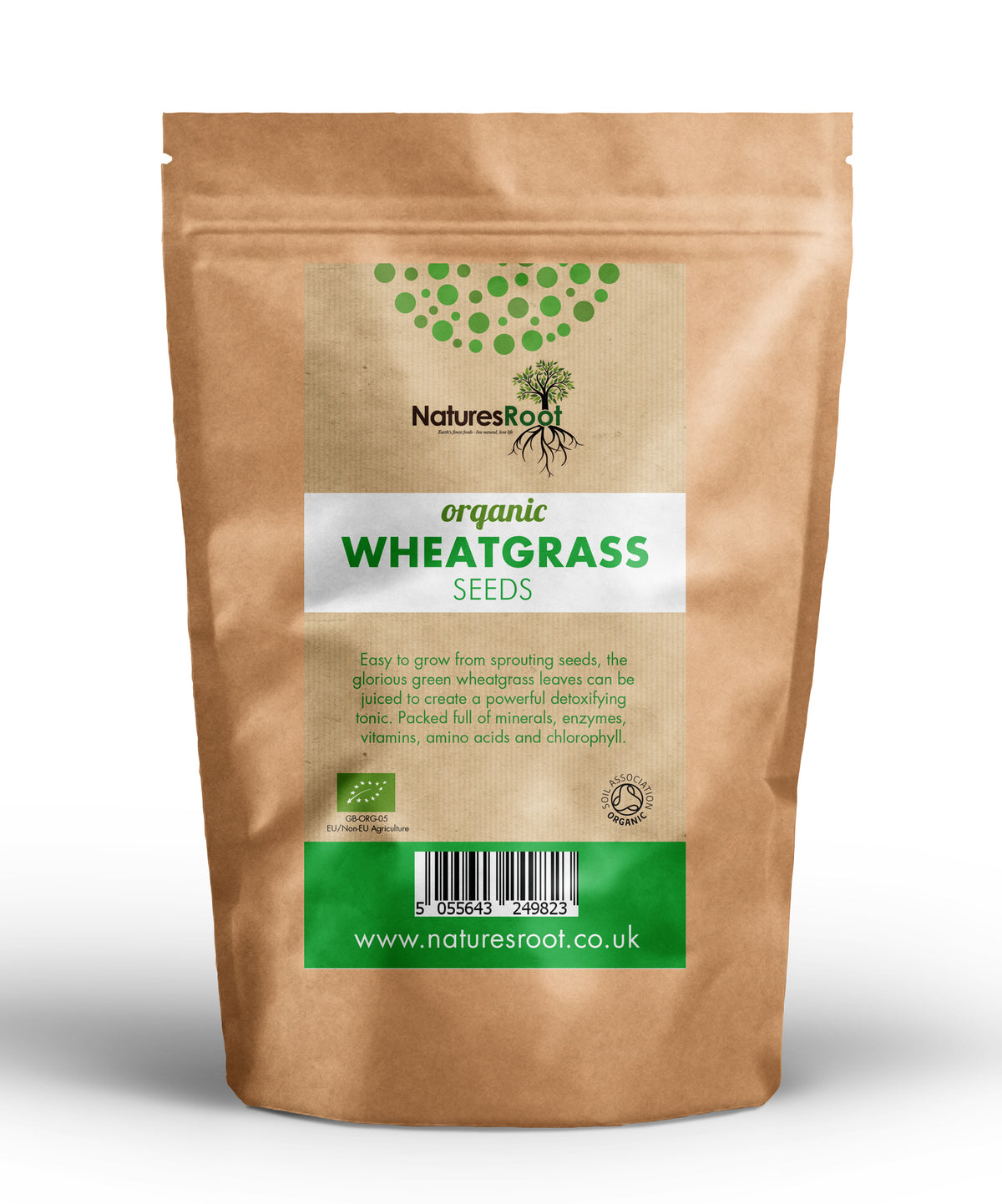 Organic Wheatgrass Seeds by Nature's Root – 60g