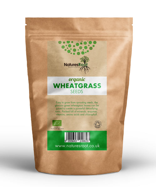 Organic Wheatgrass Seeds - Natures Root