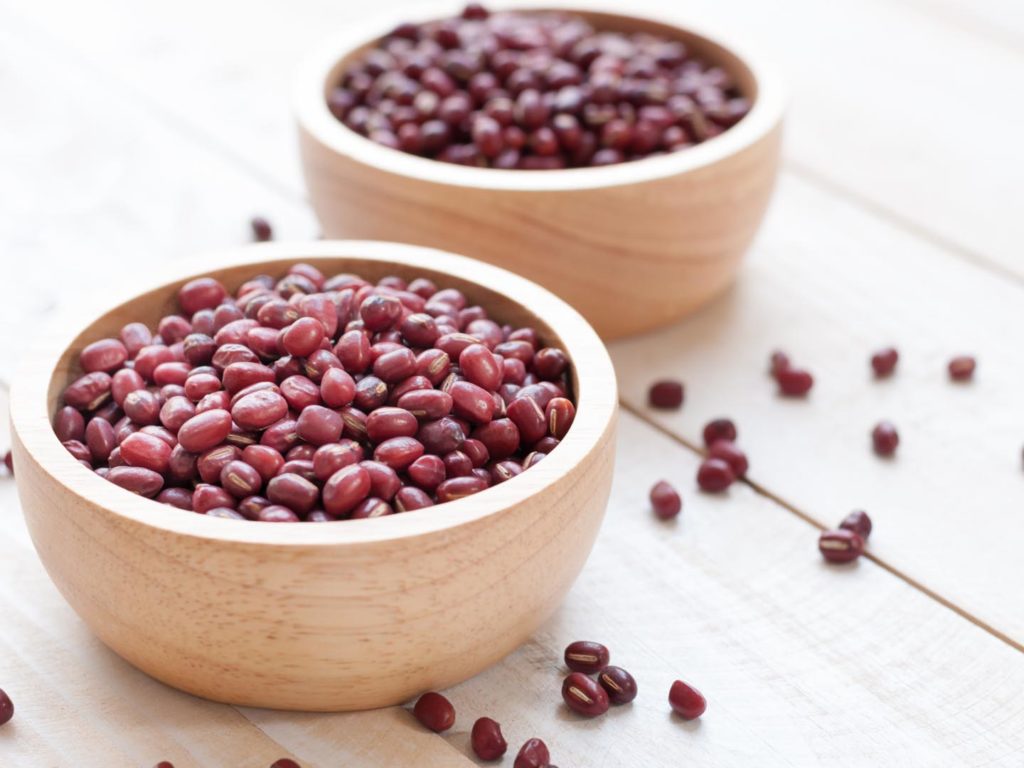Organic Red Adzuki Beans for Sprouting by Nature's Root – 125g