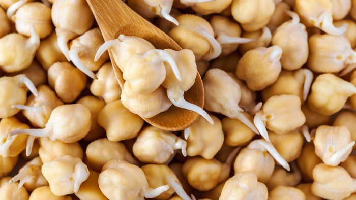Organic Chickpeas for Sprouting by Nature's Root – 125g