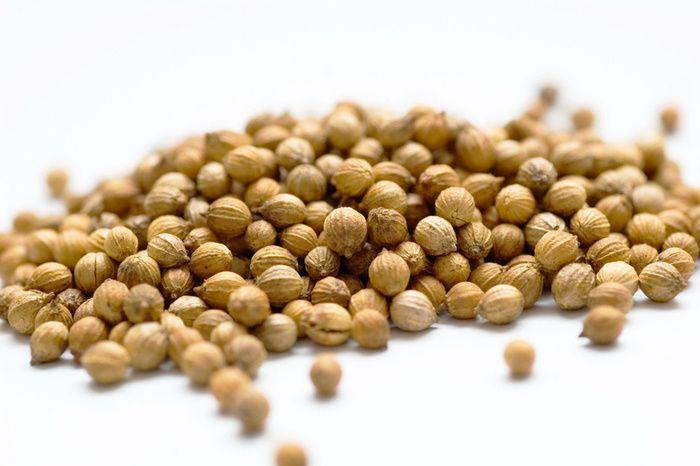 Organic Coriander Sprouting Seeds by Nature's Root – 125g Culinary Spice Powder