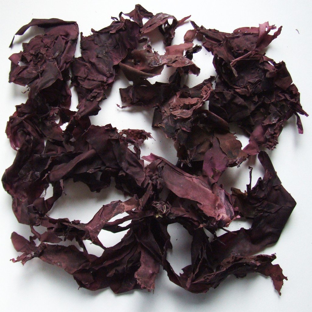 Organic Raw Dulse Dillisk Seaweed by Nature's Root – 60g