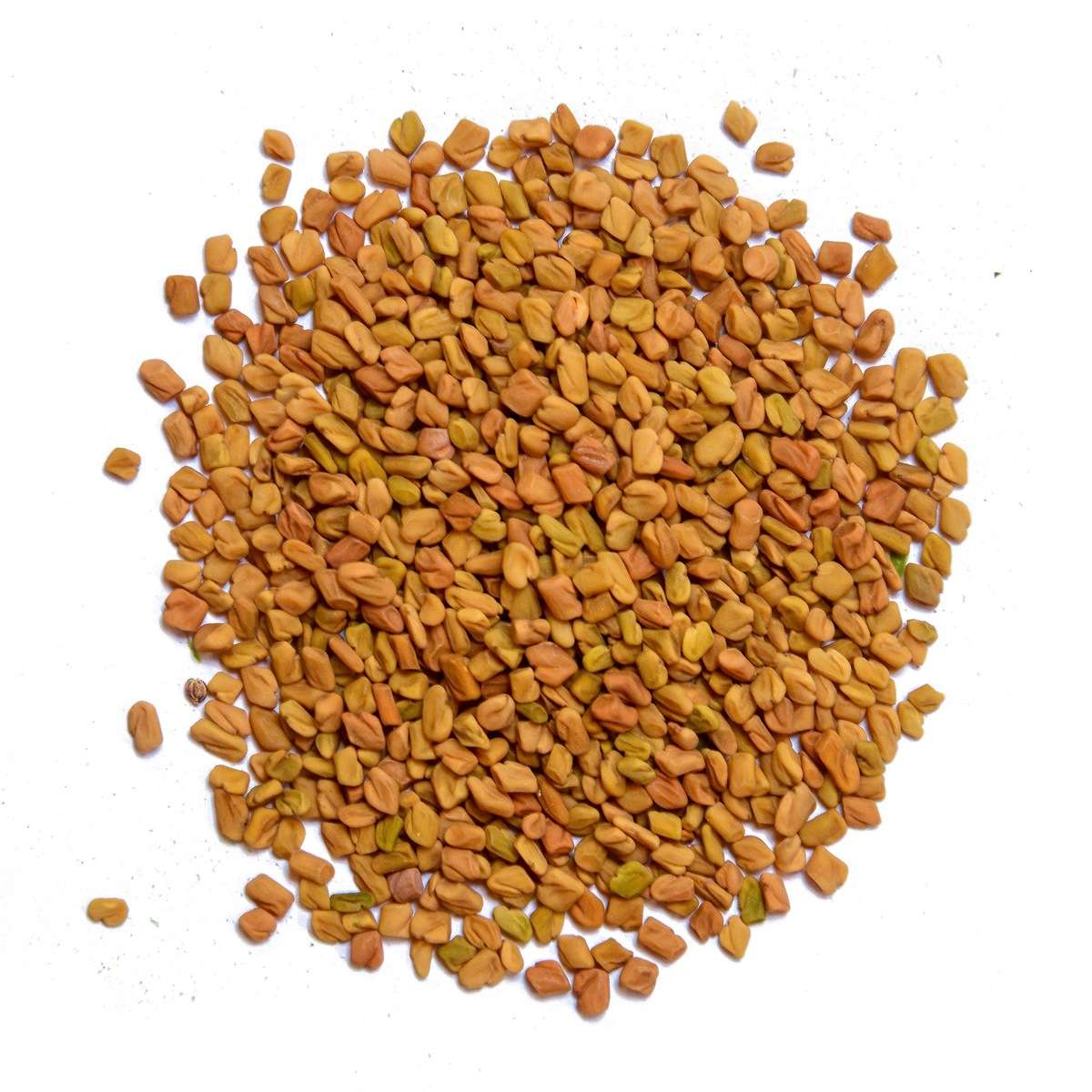 Organic Fenugreek Sprouting Seeds by Nature's Root – 125g