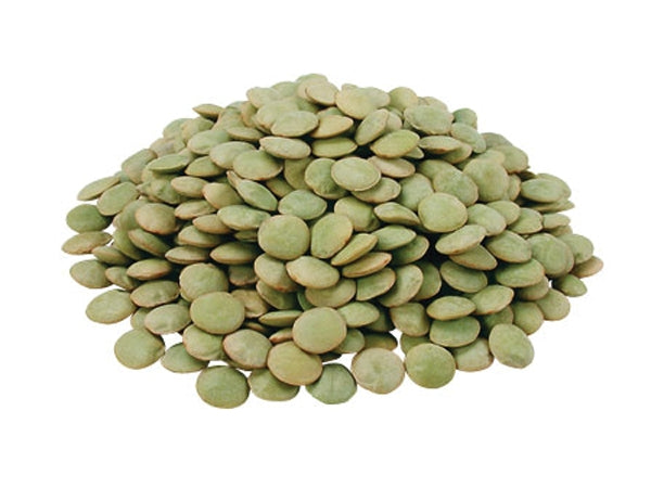 Organic Green Lentil Sprouting Seeds by Nature's Root – 125g