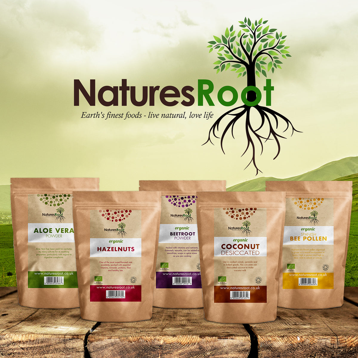 Organic Reishi Mushroom Powder by Nature's Root – 1kg