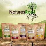 Organic Reishi Mushroom Powder - Natures Root