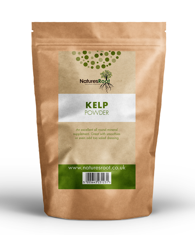 Premium Kelp Powder by Nature's Root – 125g Herbal Powder