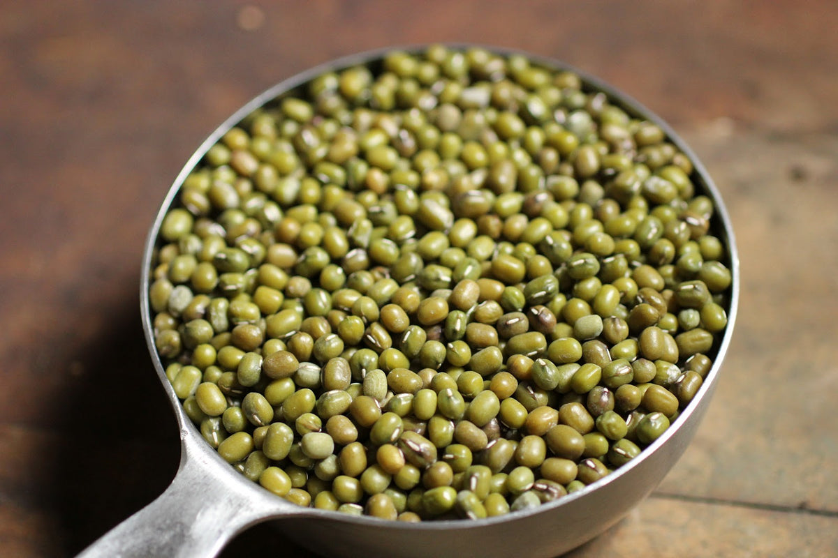 Organic Mung Bean Sprouting Seeds by Nature's Root – 125g