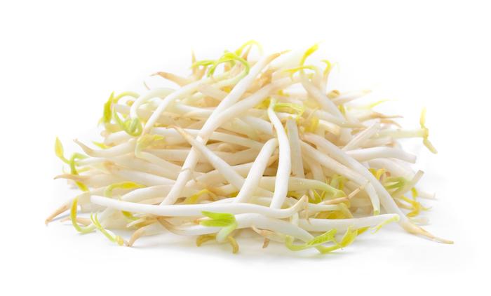 Organic Mung Bean Sprouting Seeds by Nature's Root – 250g