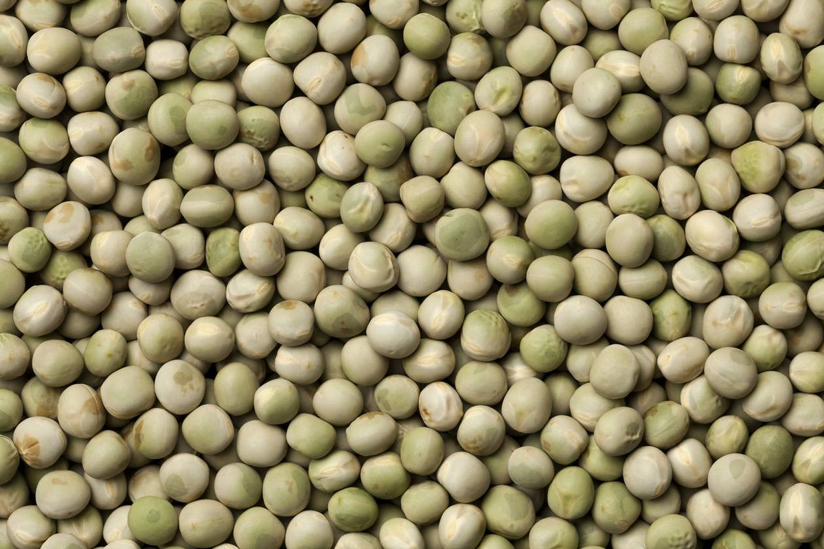 Organic Pea Shoot Sprouting Seeds by Nature's Root – 250g