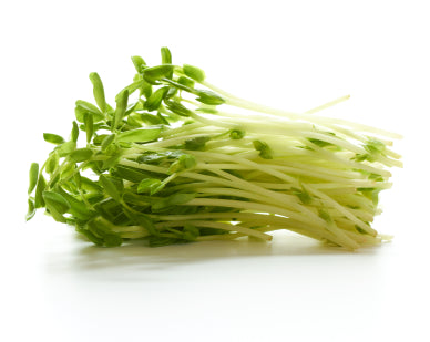 Organic Pea Shoot Sprouting Seeds by Nature's Root – 125g
