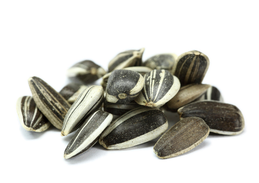 Organic Sunflower Sprouting Seeds by Nature's Root – 250g